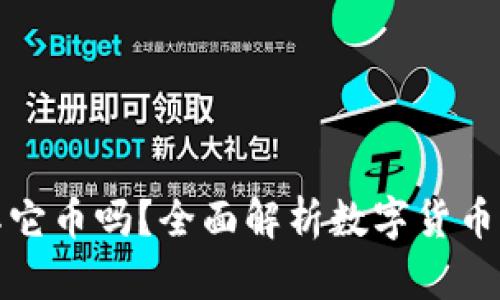 比特币钱包能放其它币吗？全面解析数字货币钱包的功能和选择