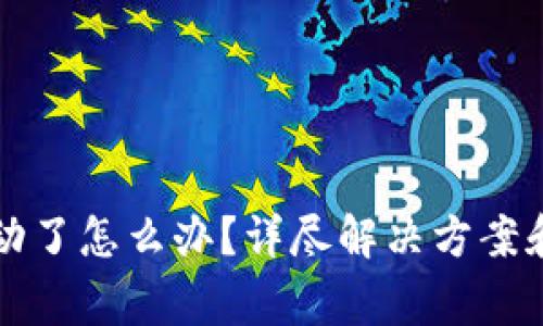 TP钱包卡住不动了怎么办？详尽解决方案和常见问题解析