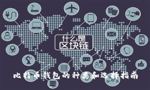 比特币钱包的种类和选择指南