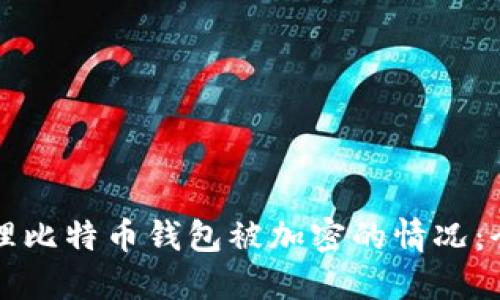 如何处理比特币钱包被加密的情况：全面指南