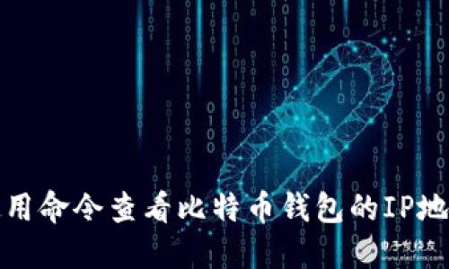 如何使用命令查看比特币钱包的IP地址信息