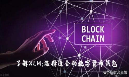  了解XLM：选择适合的数字货币钱包