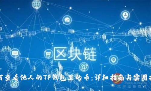 如何查看他人的TP钱包里的币：详细指南与实用技巧