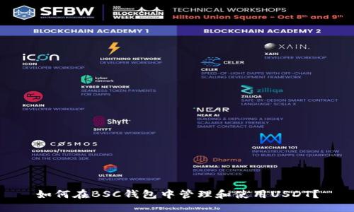 如何在BSC钱包中管理和使用USDT？