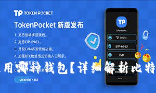 以前比特币使用哪种钱包？详细解析比特币钱包的演变