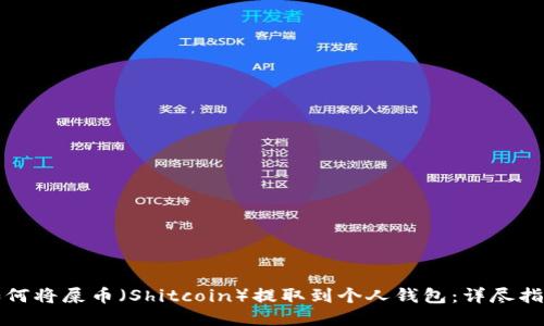 如何将屎币(Shitcoin)提取到个人钱包:详尽指南
