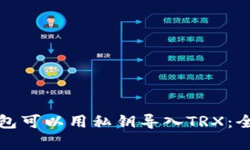 什么钱包可以用私钥导入TRX：全面解析