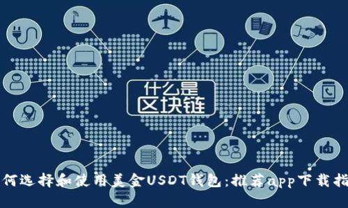 如何选择和使用美金USDT钱包：推荐app下载指南