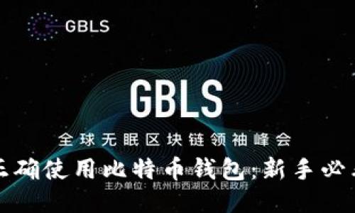 如何正确使用比特币钱包：新手必看指南