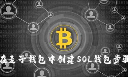 如何在麦子钱包中创建SOL钱包步骤详解