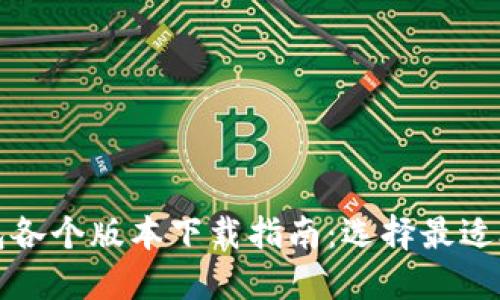 比特币钱包各个版本下载指南：选择最适合你的钱包