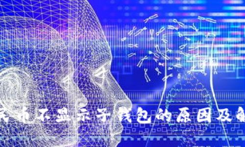 数字人民币不显示子钱包的原因及解决方法