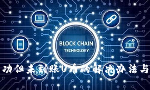 TP钱包闪兑成功但未到账U币的解决办法与常见问题解答