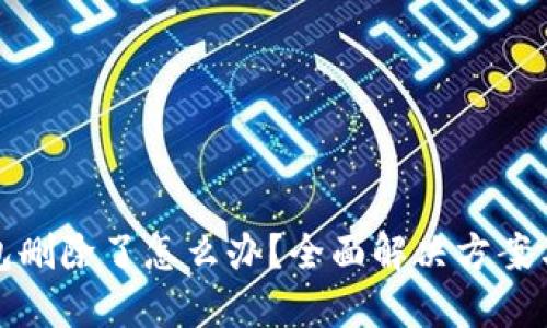 比特币钱包删除了怎么办?全面解决方案与预防措施