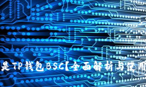 什么是TP钱包BSC？全面解析与使用指南
