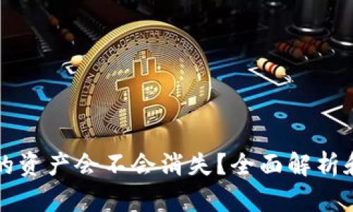 TP钱包里的资产会不会消失？全面解析和用户指南