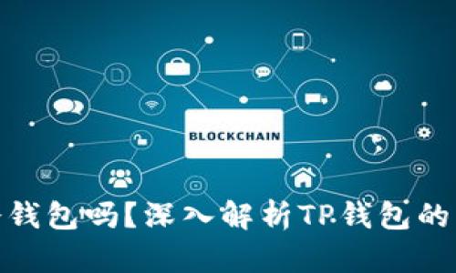 : TP钱包是冷钱包吗？深入解析TP钱包的类型与安全性