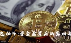 tp钱包柚子：资金盘背后的