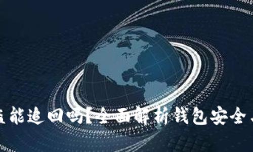 tp钱包被盗能追回吗？全面解析钱包安全与盗币防范