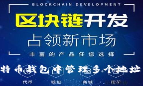 如何在比特币钱包中管理多个地址：全面指南