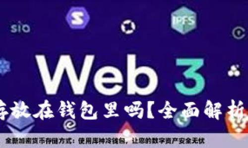 USDT可以存放在钱包里吗？全面解析与最佳选择