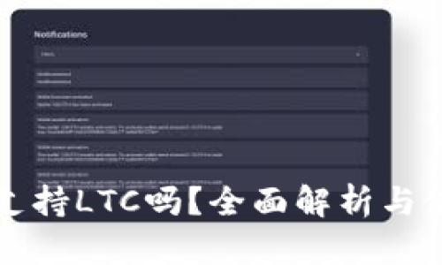 TP钱包支持LTC吗？全面解析与使用指南