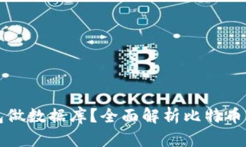 比特币用什么钱包做数据库？全面解析比特币钱包的类型与功能
