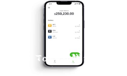 全面解析Top Token钱包的使用与玩法