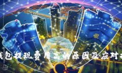 TP钱包提现费用高的原因及