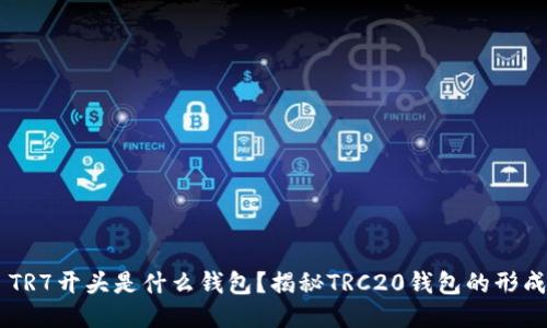: TRX TR7开头是什么钱包？揭秘TRC20钱包的形成与应用