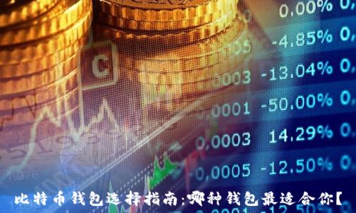   
比特币钱包选择指南：哪种钱包最适合你？