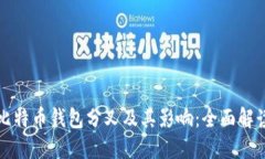 比特币钱包分叉及其影响
