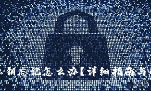 TP钱包私钥忘记怎么办？详细指南与解决方案