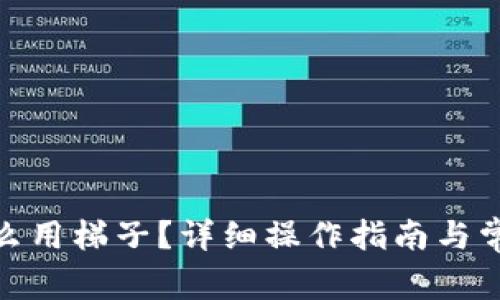 : tp钱包怎么用梯子？详细操作指南与常见问题解答