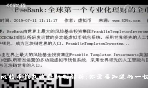 比特币钱包收费机制解析：你需要知道的一切