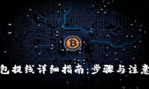 TP钱包提线详细指南：步骤与注意事项