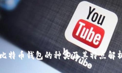 比特币钱包的种类及其特点解析