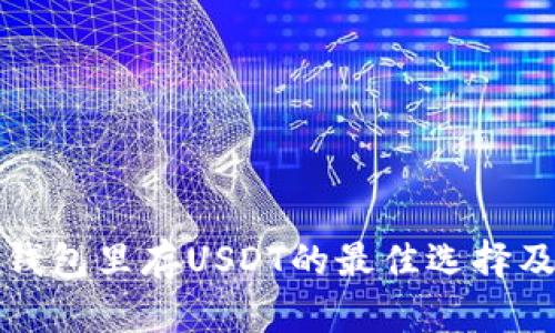 数字货币存钱包里存USDT的最佳选择及安全性分析