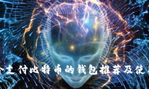 最适合支付比特币的钱包推荐及使用指南