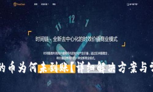 TP钱包购买的币为何未到账？详细解决方案与常见问题解析