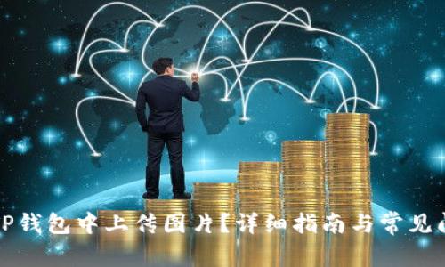 如何在TP钱包中上传图片？详细指南与常见问题解答
