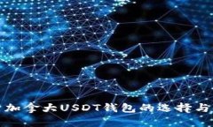 全面解析加拿大USDT钱包的