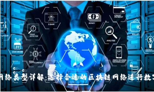 tp钱包的网络类型详解：选择合适的区块链网络进行数字货币交易