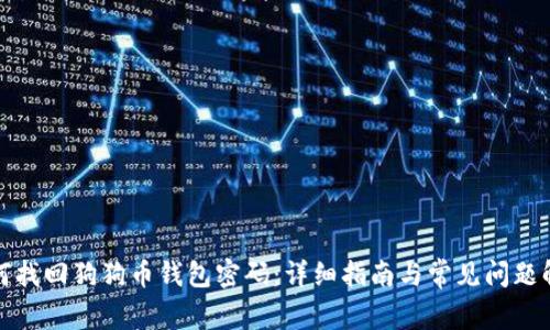 如何找回狗狗币钱包密码：详细指南与常见问题解答