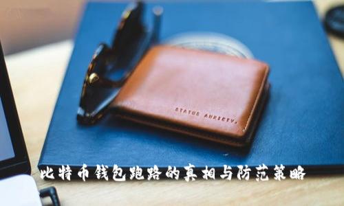 比特币钱包跑路的真相与防范策略