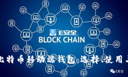 全面解析比特币移动端钱包：选择、使用与安全指南