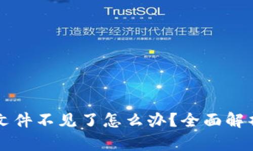 以太坊钱包文件不见了怎么办？全面解析与解决方案