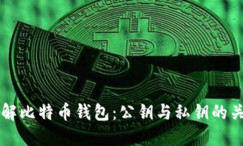 深入理解比特币钱包：公钥与私钥的关键作用