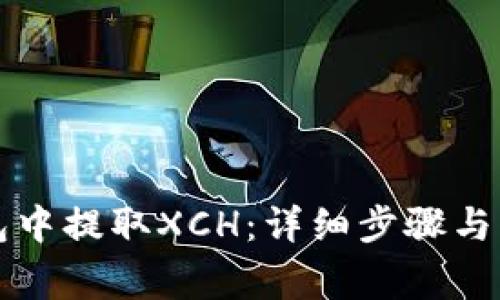 如何在TP钱包中提取XCH：详细步骤与常见问题解答