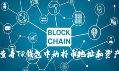 如何查看TP钱包中的持币地址和资产情况